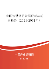 中國智慧消防發(fā)展現(xiàn)狀與前景趨勢(2025-2031年) 中國智慧消防發(fā)展現(xiàn)狀與前景趨勢(2025-2031年)