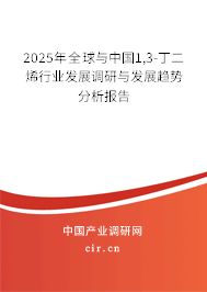 2025年全球與中國1,3-丁二烯行業(yè)發(fā)展調(diào)研與發(fā)展趨勢分析報告 2025年全球與中國1,3-丁二烯行業(yè)發(fā)展調(diào)研與發(fā)展趨勢分析報告