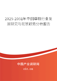 2025-2031年中國草鞋行業(yè)發(fā)展研究與前景趨勢分析報告