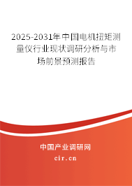 2025-2031年中國電機扭矩測量儀行業(yè)現(xiàn)狀調(diào)研分析與市場前景預(yù)測報告