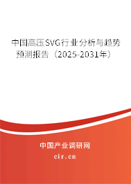 中國高壓SVG行業(yè)分析與趨勢預測報告(2025-2031年) 中國高壓SVG行業(yè)分析與趨勢預測報告(2025-2031年)