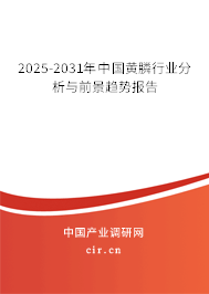 2025-2031年中國(guó)黃膦行業(yè)分析與前景趨勢(shì)報(bào)告 2025-2031年中國(guó)黃膦行業(yè)分析與前景趨勢(shì)報(bào)告