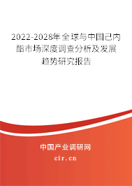 2022-2028年全球與中國己內(nèi)酯市場深度調(diào)查分析及發(fā)展趨勢研究報告 2022-2028年全球與中國己內(nèi)酯市場深度調(diào)查分析及發(fā)展趨勢研究報告