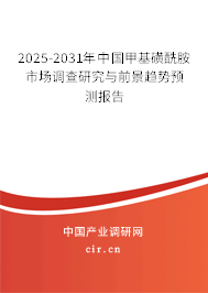 2025-2031年中國甲基磺酰胺市場調(diào)查研究與前景趨勢預(yù)測報告