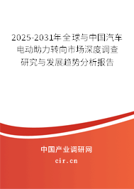 2024-2030年全球與中國汽車電動助力轉(zhuǎn)向市場深度調(diào)查研究與發(fā)展趨勢分析報告