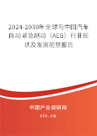 2024-2030年全球與中國(guó)汽車自動(dòng)緊急制動(dòng)（AEB）行業(yè)現(xiàn)狀及發(fā)展前景報(bào)告