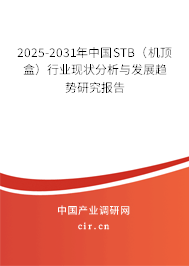 2025-2031年中國STB(機頂盒)行業(yè)現(xiàn)狀分析與發(fā)展趨勢研究報告 2025-2031年中國STB(機頂盒)行業(yè)現(xiàn)狀分析與發(fā)展趨勢研究報告