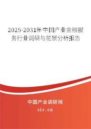 2025-2031年中國產(chǎn)業(yè)金融服務行業(yè)調(diào)研與前景分析報告