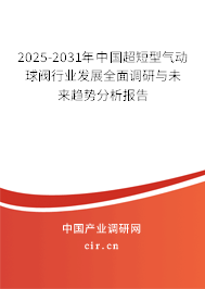 2025-2031年中國超短型氣動球閥行業(yè)發(fā)展全面調(diào)研與未來趨勢分析報告 2025-2031年中國超短型氣動球閥行業(yè)發(fā)展全面調(diào)研與未來趨勢分析報告