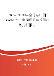 2024-2030年全球與中國DRAM行業(yè)全面調(diào)研與發(fā)展趨勢分析報告 2024-2030年全球與中國DRAM行業(yè)全面調(diào)研與發(fā)展趨勢分析報告