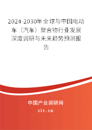 2024-2030年全球與中國電動(dòng)車（汽車）聚合物行業(yè)發(fā)展深度調(diào)研與未來趨勢(shì)預(yù)測(cè)報(bào)告