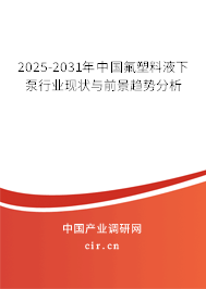 2025-2031年中國氟塑料液下泵行業(yè)現(xiàn)狀與前景趨勢分析