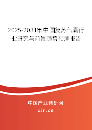 2025-2031年中國(guó)復(fù)蘇氣囊行業(yè)研究與前景趨勢(shì)預(yù)測(cè)報(bào)告 2025-2031年中國(guó)復(fù)蘇氣囊行業(yè)研究與前景趨勢(shì)預(yù)測(cè)報(bào)告