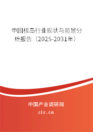 中國(guó)核島行業(yè)現(xiàn)狀與前景分析報(bào)告(2025-2031年) 中國(guó)核島行業(yè)現(xiàn)狀與前景分析報(bào)告(2025-2031年)
