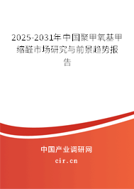 2025-2031年中國(guó)聚甲氧基甲縮醛市場(chǎng)研究與前景趨勢(shì)報(bào)告 2025-2031年中國(guó)聚甲氧基甲縮醛市場(chǎng)研究與前景趨勢(shì)報(bào)告