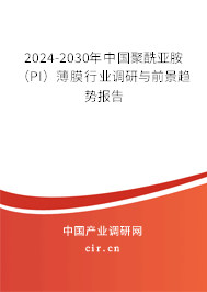 2024-2030年中國(guó)聚酰亞胺(PI)薄膜行業(yè)調(diào)研與前景趨勢(shì)報(bào)告 2024-2030年中國(guó)聚酰亞胺(PI)薄膜行業(yè)調(diào)研與前景趨勢(shì)報(bào)告