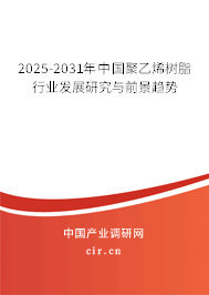 2025-2031年中國聚乙烯樹脂行業(yè)發(fā)展研究與前景趨勢(shì)