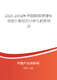 2025-2031年中國(guó)磷酸鐵鋰電池組行業(yè)研究分析與趨勢(shì)預(yù)測(cè)