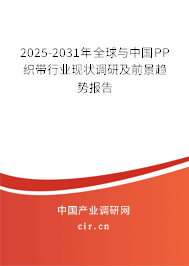 2025-2031年全球與中國(guó)PP織帶行業(yè)現(xiàn)狀調(diào)研及前景趨勢(shì)報(bào)告 2025-2031年全球與中國(guó)PP織帶行業(yè)現(xiàn)狀調(diào)研及前景趨勢(shì)報(bào)告