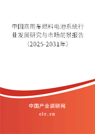 中國(guó)商用車燃料電池系統(tǒng)行業(yè)發(fā)展研究與市場(chǎng)前景報(bào)告（2025-2031年）