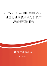 2025-2031年中國通用航空產業(yè)園行業(yè)現(xiàn)狀研究分析及市場前景預測報告 2025-2031年中國通用航空產業(yè)園行業(yè)現(xiàn)狀研究分析及市場前景預測報告