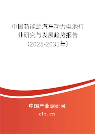 中國新能源汽車動力電池行業(yè)研究與發(fā)展趨勢報告(2025-2031年) 中國新能源汽車動力電池行業(yè)研究與發(fā)展趨勢報告(2025-2031年)