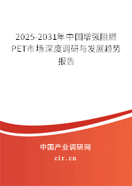 2025-2031年中國增強阻燃PET市場深度調(diào)研與發(fā)展趨勢報告 2025-2031年中國增強阻燃PET市場深度調(diào)研與發(fā)展趨勢報告