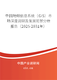 中國(guó)地理信息系統(tǒng)（GIS）市場(chǎng)深度調(diào)研及發(fā)展前景分析報(bào)告（2025-2031年）