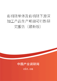 有機硅單體及有機硅下游深加工產品生產項目可行性研究報告（最新版）