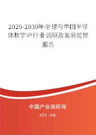 2025-2030年全球與中國(guó)半導(dǎo)體數(shù)字IP行業(yè)調(diào)研及發(fā)展前景報(bào)告 2025-2030年全球與中國(guó)半導(dǎo)體數(shù)字IP行業(yè)調(diào)研及發(fā)展前景報(bào)告