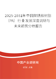 2025-2031年中國(guó)聚酰胺樹(shù)脂（PA）行業(yè)發(fā)展深度調(diào)研與未來(lái)趨勢(shì)分析報(bào)告