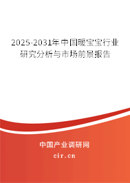 2025-2031年中國暖寶寶行業(yè)研究分析與市場前景報告