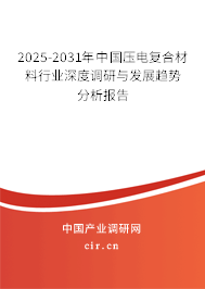 2025-2031年中國壓電復(fù)合材料行業(yè)深度調(diào)研與發(fā)展趨勢(shì)分析報(bào)告