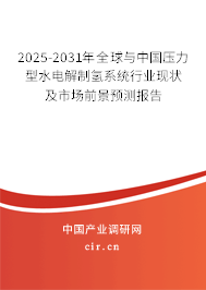 2025-2031年全球與中國壓力型水電解制氫系統(tǒng)行業(yè)現(xiàn)狀及市場前景預(yù)測報(bào)告