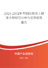 2025-2031年中國鹽酸腎上腺素市場研究分析與前景趨勢報告 2025-2031年中國鹽酸腎上腺素市場研究分析與前景趨勢報告