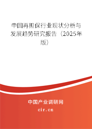 中國再擔保行業(yè)現(xiàn)狀分析與發(fā)展趨勢研究報告(2025年版) 中國再擔保行業(yè)現(xiàn)狀分析與發(fā)展趨勢研究報告(2025年版)