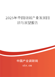 2025年中國燒堿產(chǎn)業(yè)發(fā)展回顧與展望報告 2025年中國燒堿產(chǎn)業(yè)發(fā)展回顧與展望報告