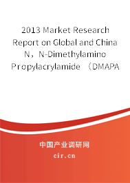 2013 Market Research Report on Global and China N，N-Dimethylamino Propylacrylamide （DMAPAA） Industry