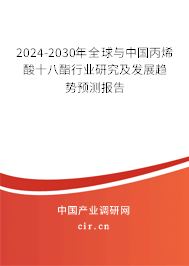 2024-2030年全球與中國丙烯酸十八酯行業(yè)研究及發(fā)展趨勢(shì)預(yù)測(cè)報(bào)告