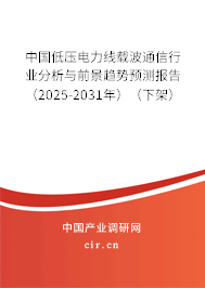 中國低壓電力線載波通信行業(yè)分析與前景趨勢預(yù)測報告(2025-2031年)(下架) 中國低壓電力線載波通信行業(yè)分析與前景趨勢預(yù)測報告(2025-2031年)(下架)