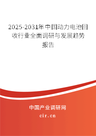 2025-2031年中國(guó)動(dòng)力電池回收行業(yè)全面調(diào)研與發(fā)展趨勢(shì)報(bào)告 2025-2031年中國(guó)動(dòng)力電池回收行業(yè)全面調(diào)研與發(fā)展趨勢(shì)報(bào)告