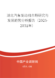 湖北汽車發(fā)動機市場研究與發(fā)展趨勢分析報告（2025-2031年）