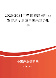 2025-2031年中國腳踏閥行業(yè)發(fā)展深度調研與未來趨勢報告 2025-2031年中國腳踏閥行業(yè)發(fā)展深度調研與未來趨勢報告