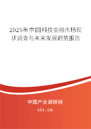 2025年中國科技金融市場現(xiàn)狀調(diào)查與未來發(fā)展趨勢報告 2025年中國科技金融市場現(xiàn)狀調(diào)查與未來發(fā)展趨勢報告