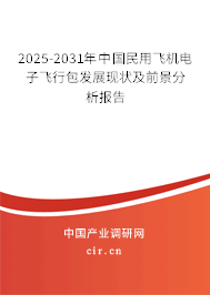2025-2031年中國民用飛機電子飛行包發(fā)展現(xiàn)狀及前景分析報告 2025-2031年中國民用飛機電子飛行包發(fā)展現(xiàn)狀及前景分析報告