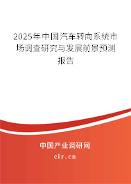 2025年中國(guó)汽車轉(zhuǎn)向系統(tǒng)市場(chǎng)調(diào)查研究與發(fā)展前景預(yù)測(cè)報(bào)告