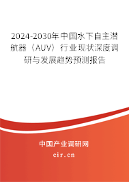 2024-2030年中國水下自主潛航器（AUV）行業(yè)現(xiàn)狀深度調(diào)研與發(fā)展趨勢預(yù)測報告