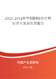 2025-2031年中國陰極鎖市場現(xiàn)狀與發(fā)展前景報告 2025-2031年中國陰極鎖市場現(xiàn)狀與發(fā)展前景報告