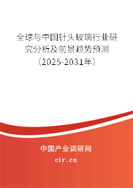 全球與中國針頭玻璃行業(yè)研究分析及前景趨勢預(yù)測（2025-2031年）