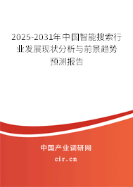 2025-2031年中國智能搜索行業(yè)發(fā)展現(xiàn)狀分析與前景趨勢預(yù)測報(bào)告
